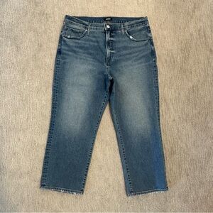 Express Straight Ankle High Rise size 14S Blue